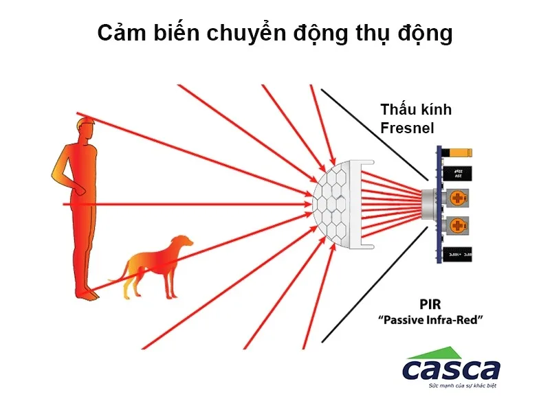 Cảm biến chuyển động PIR dùng trong hệ thống báo trộm